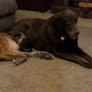 Meet your Posher, Gail